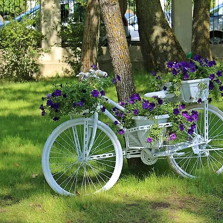 リゾート Duni Village ソゾポル