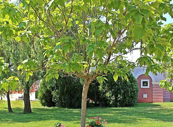 Duni Village 4* Sozopol