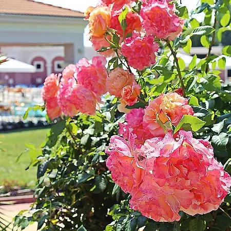 Rezort Duni Village 4*